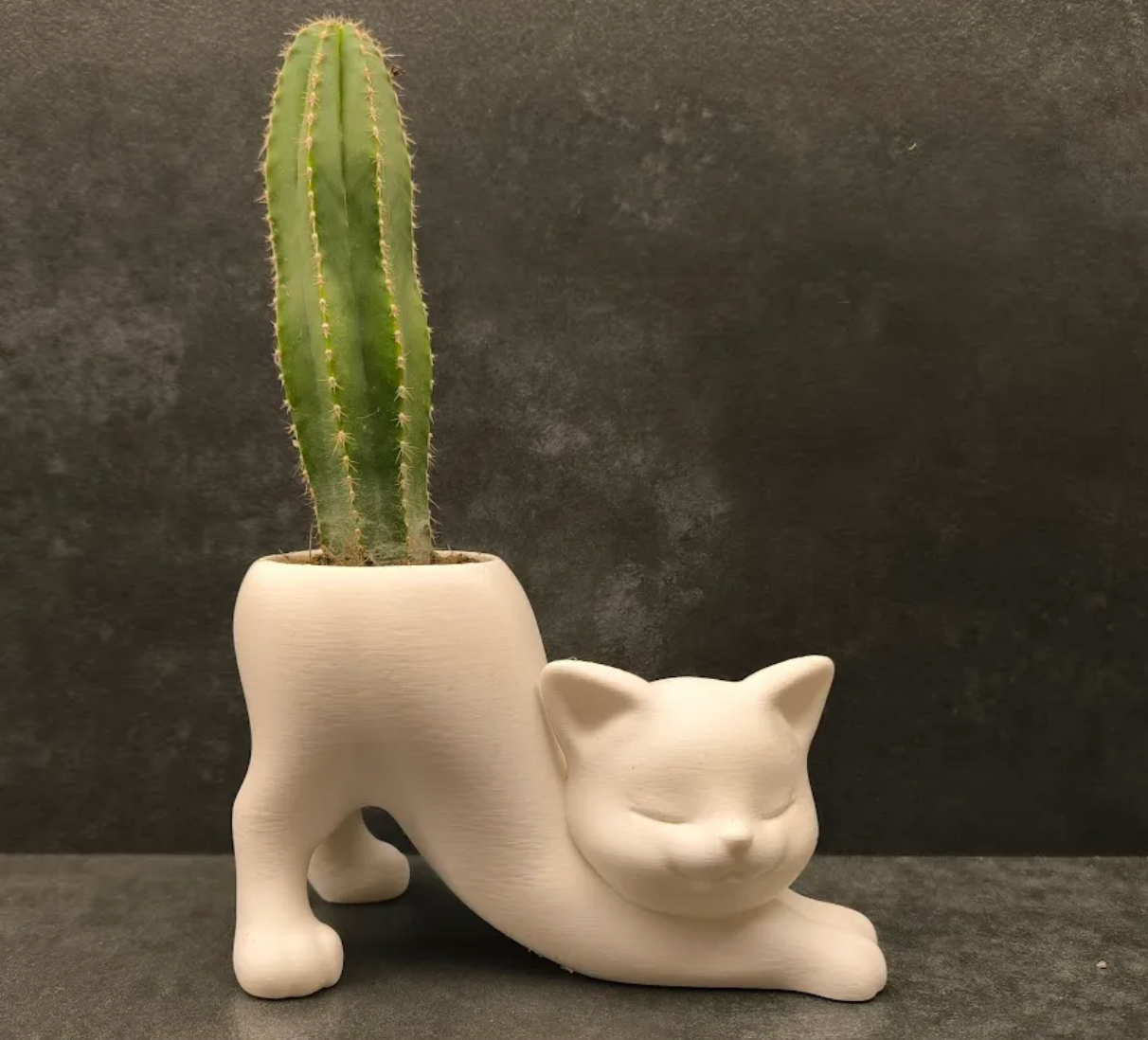 Vaso Gato Alongado com Cacto Vertical