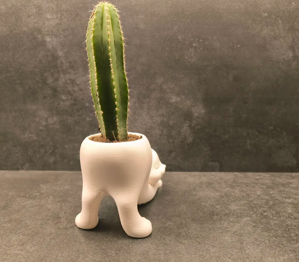 Vaso Gato Alongado com Cacto Vertical