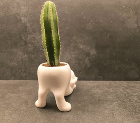 Vaso Gato Alongado com Cacto Vertical