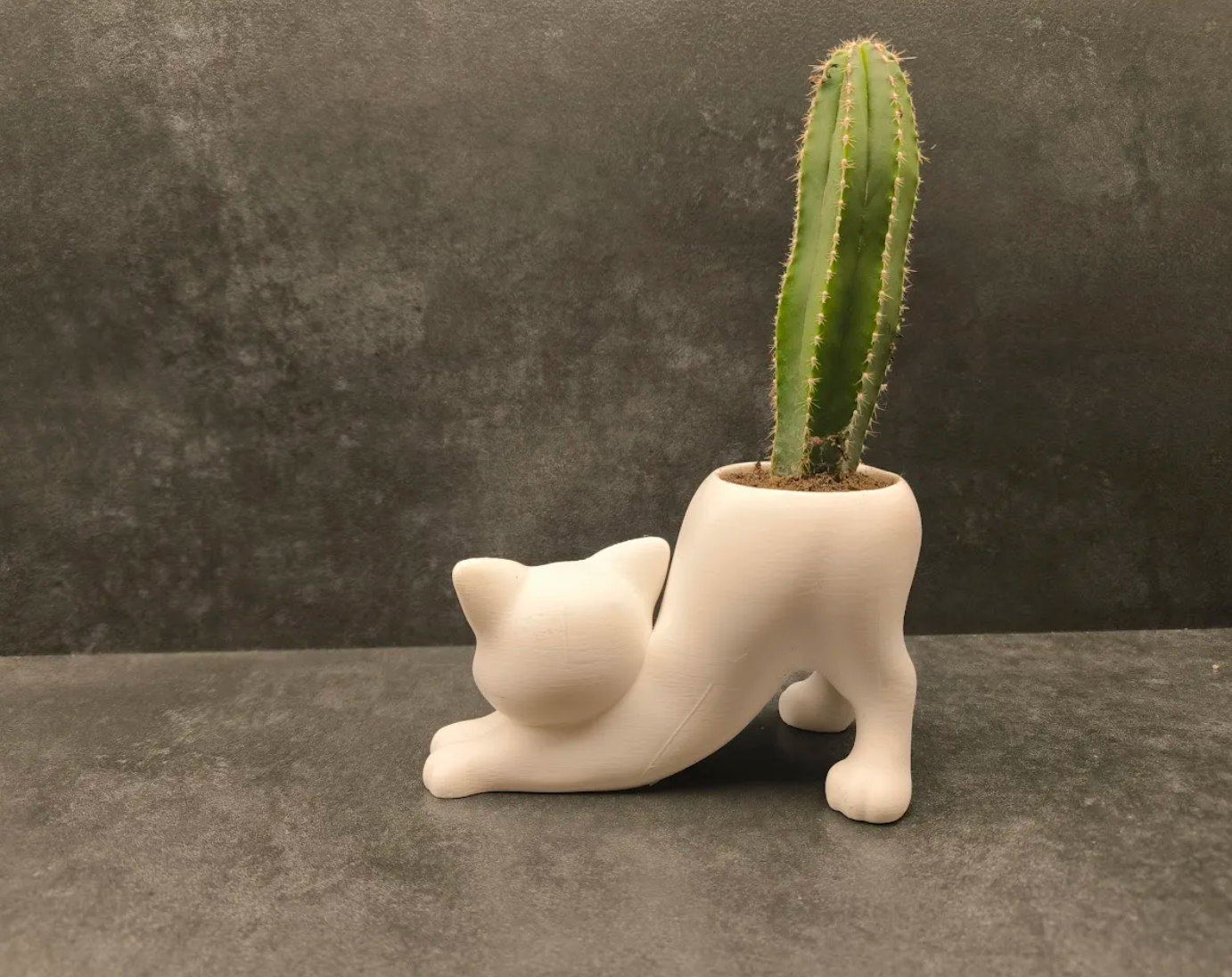 Vaso Gato Alongado com Cacto Vertical