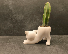Vaso Gato Alongado com Cacto Vertical