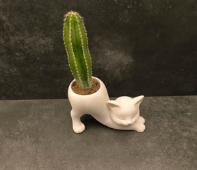 Vaso Gato Alongado com Cacto Vertical