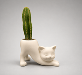 Vaso Gato Alongado com Cacto Vertical