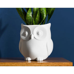 Vaso Para Planta De Interior Coruja Moderna Elegante