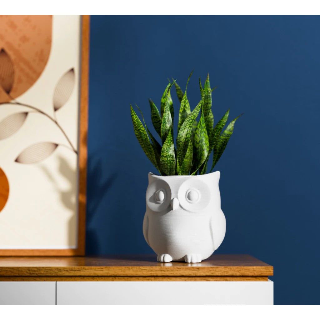 Vaso Para Planta De Interior Coruja Moderna Elegante