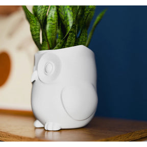 Vaso Para Planta De Interior Coruja Moderna Elegante