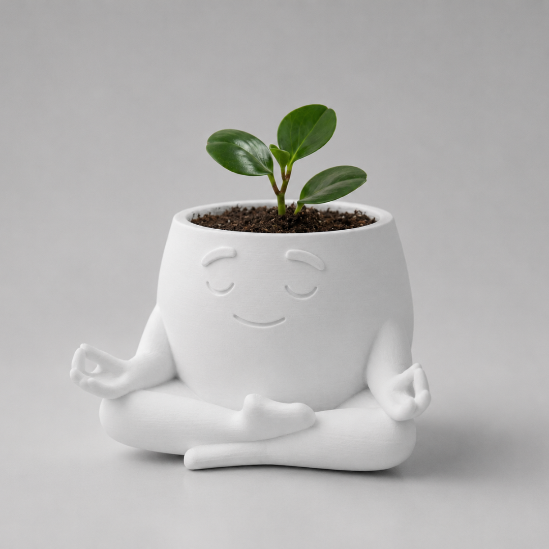 Zenny Vasinho Meditando Decoração para Plantas