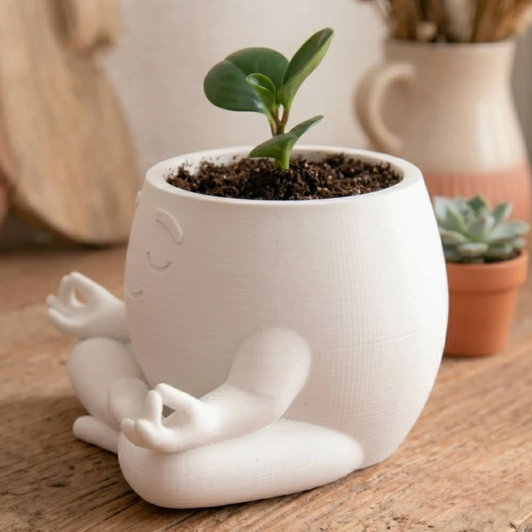 Zenny Vasinho Meditando Decoração para Plantas